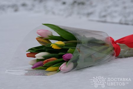 Букет из 11 разноцветных тюльпанов "8 марта"